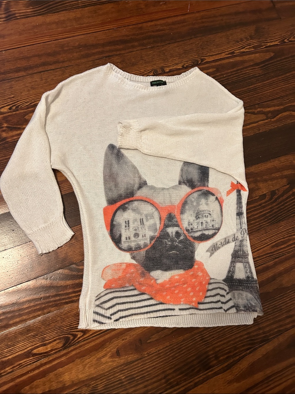 Tricotto Cream Graphic Dog Sweater with Orange Accents